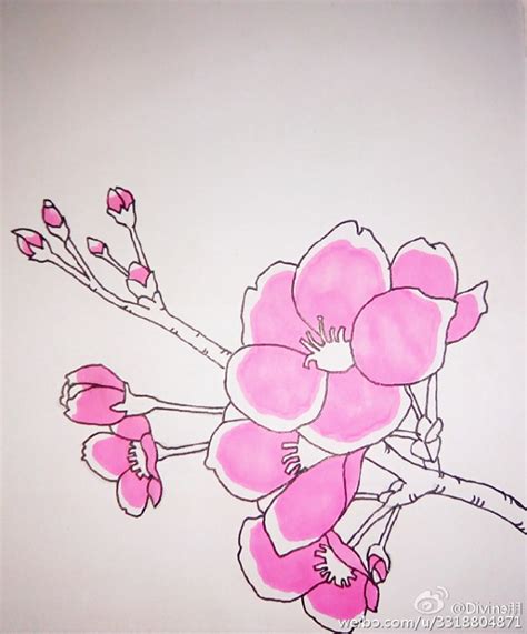 桃花画法|【Procreate教程】桃花怎么画？超好用水彩笔刷免费更新